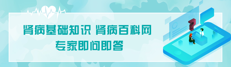 
肾病基础知识-肾病指南网