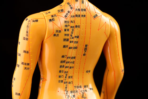 Acupoint Diagnosis and Treatment
